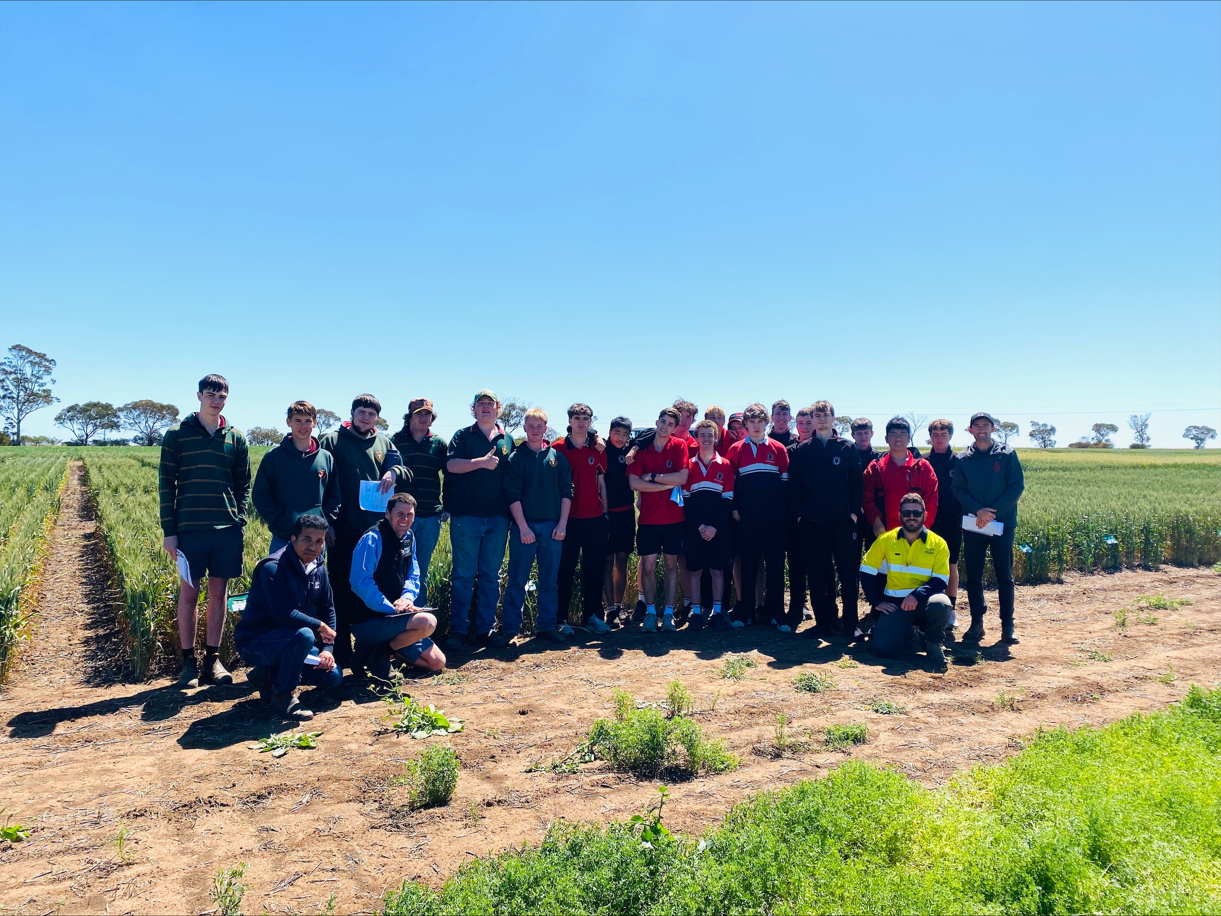 Processed A071 B533 BA27 4899 BE5 D A79 D268835 BA