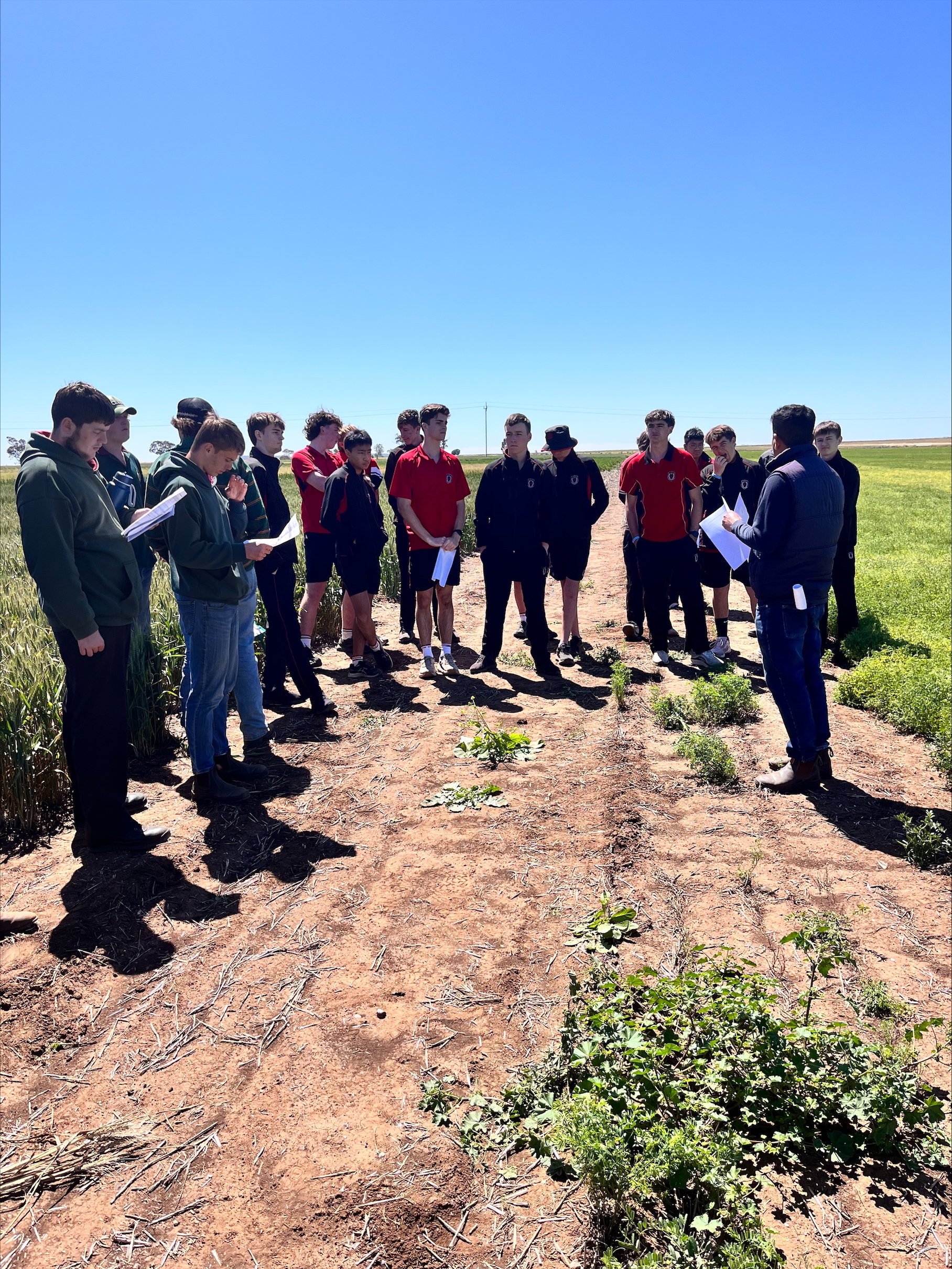 Processed FA01182 A 7070 41 CF 82 DC 7 B658571 E62 B