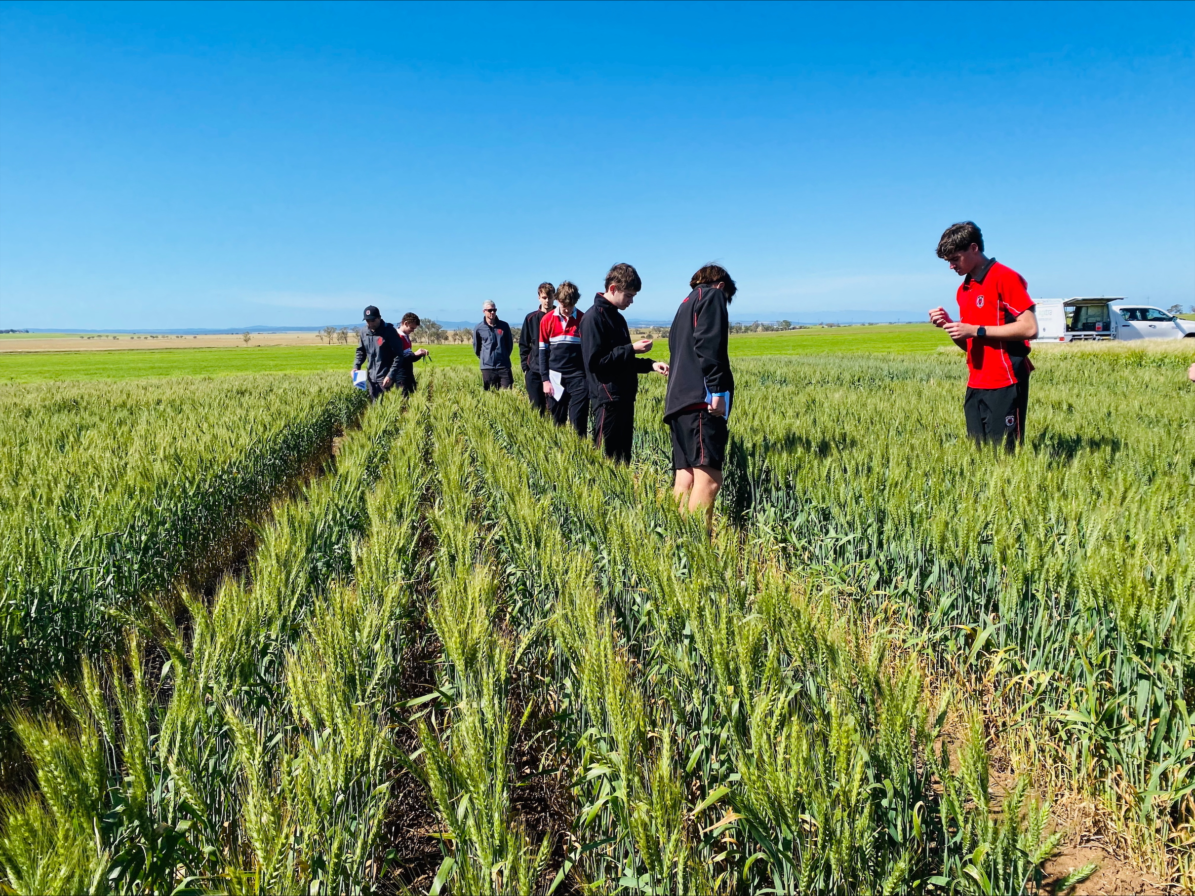 Processed FB9 FF00 A 7429 4 DB7 A4 E3 FCABB9390 E23