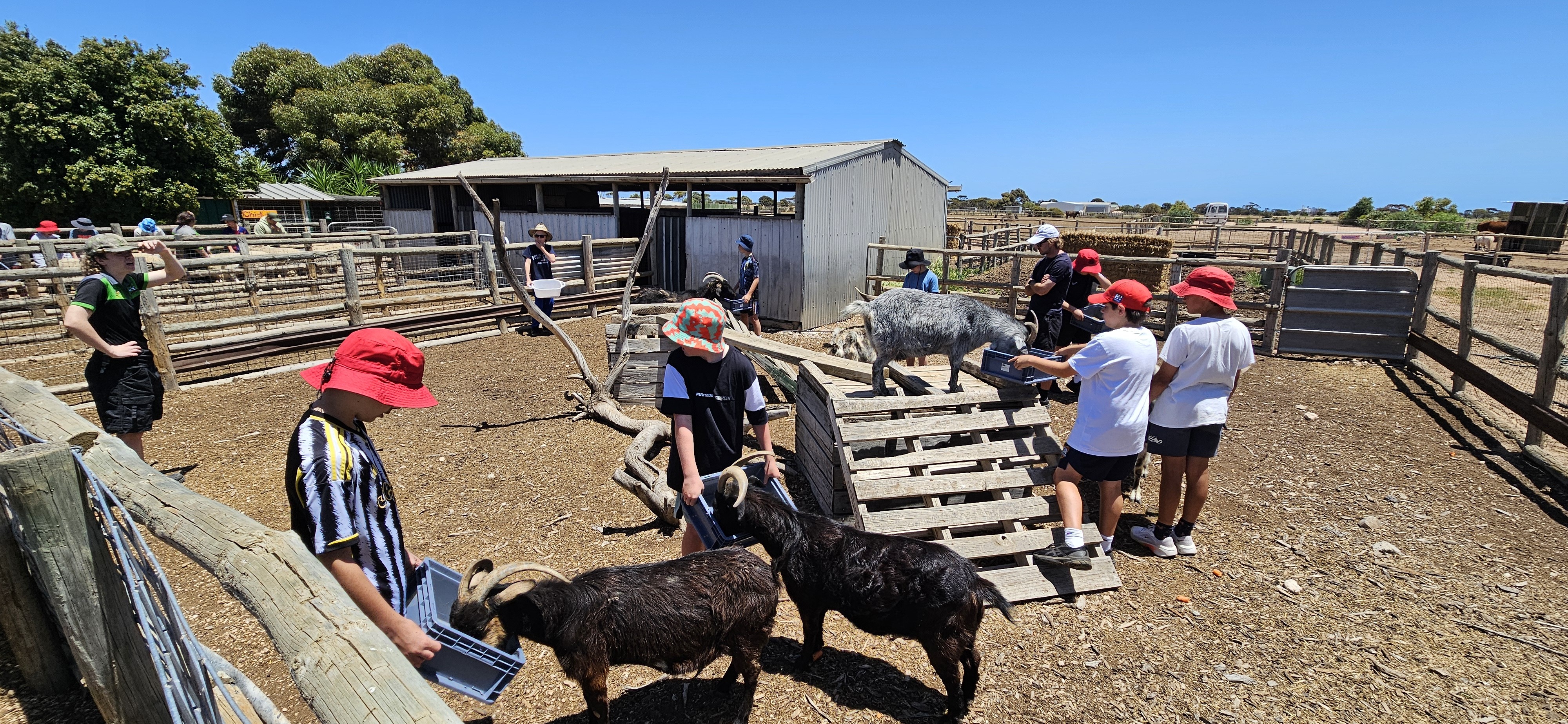 20251126 131732 Copy