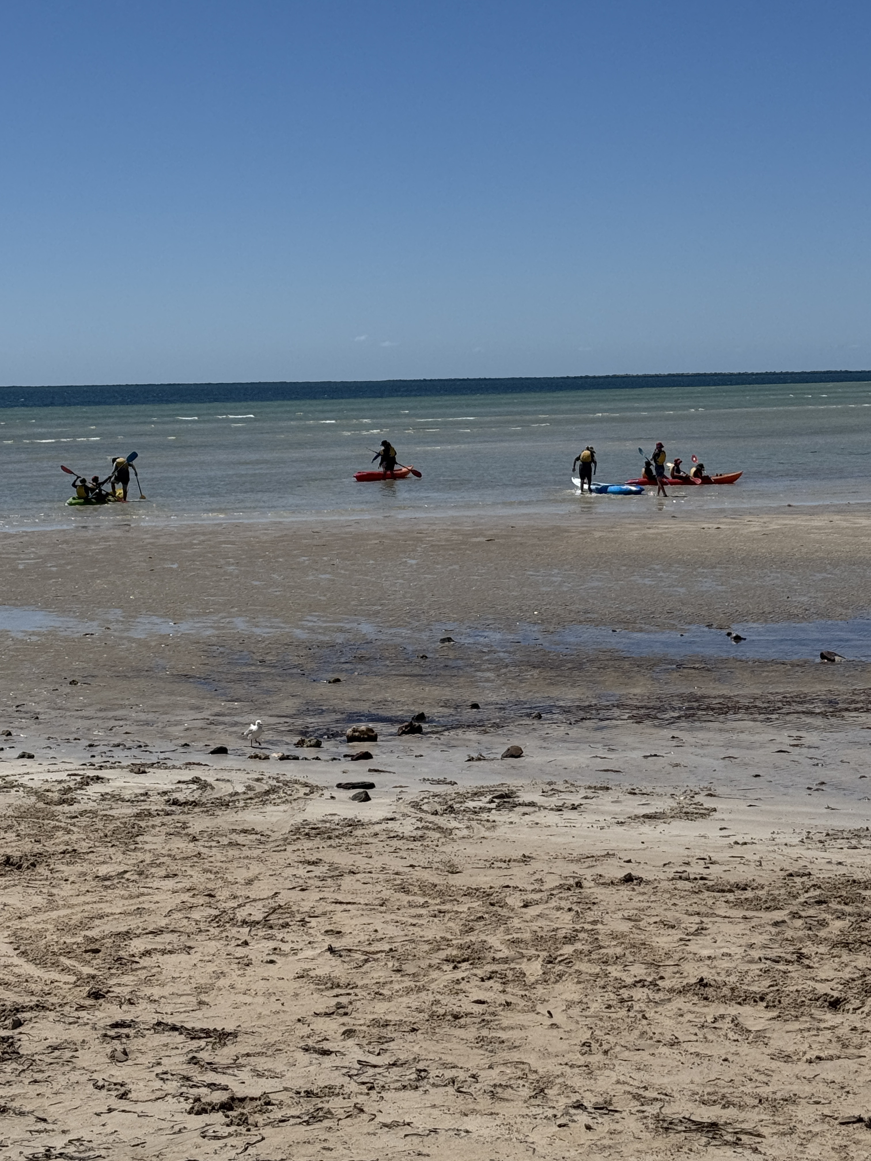 20251127 045253835 i OS