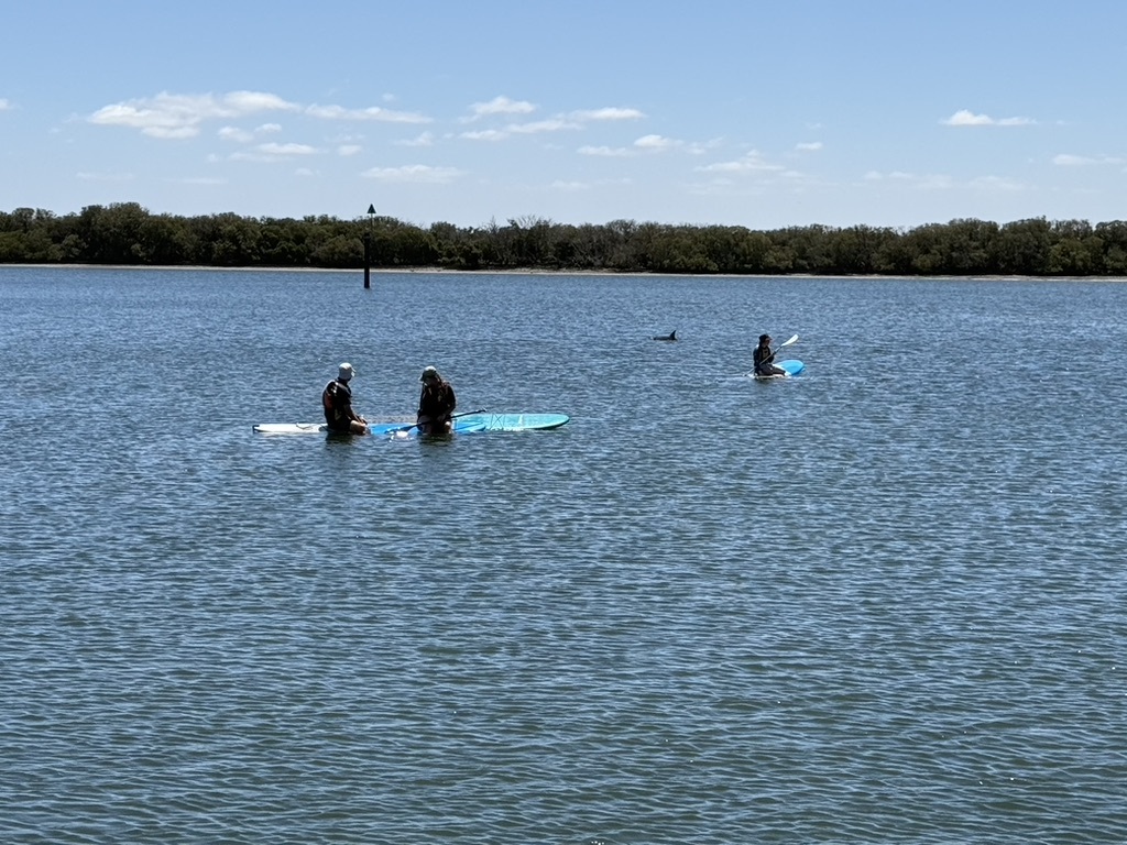 72779 A02 8 FEE 4007 BD22 23 B8 A9 DCDCCA 1 105 c