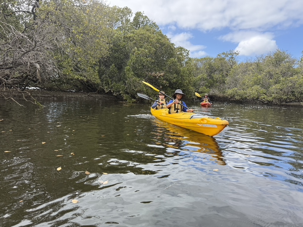 D4079310 2 ACF 475 B 93 F2 F986 CDAAAD75 1 105 c