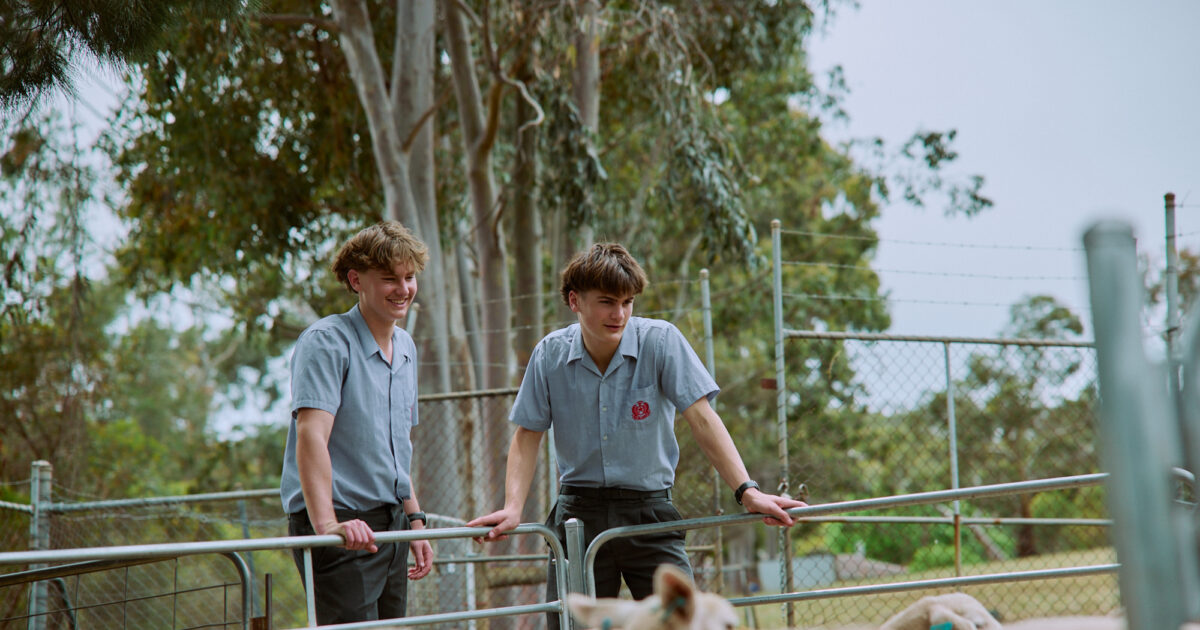 Pathways | Rostrevor College